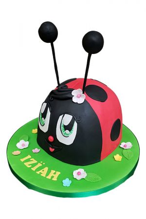 Gâteau anniversaire coccinelles