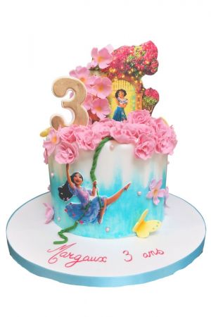 Encanto birthday cake