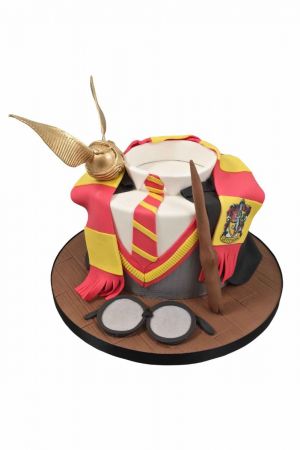 Gâteau anniversaire Harry Potter