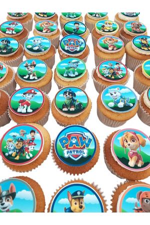 Paw Patrol themed cupcakes
