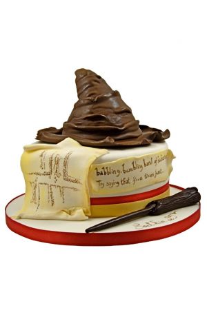 Gâteau d'anniversaire sur mesure au Nutella pour Thibaut sur le thème de harry  Potter , fêter à Miramas - Frangine et chocolat