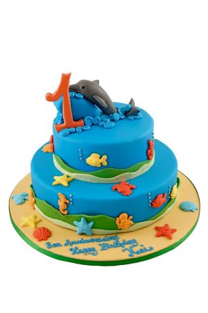 Dolphin with a Birthday Cake