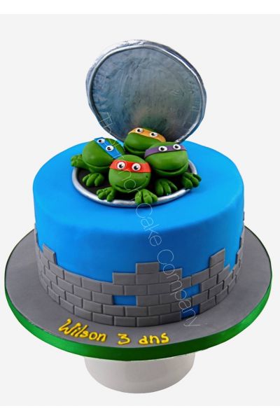 Gateau Anniversaire Tortues Ninja