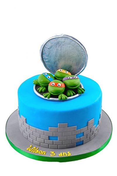 Order Online Ninja Turtles Birthday Cake | Order Quick Delivery | Online  Cake Delivery | Order Now | The French Cake Company